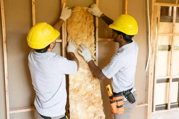 Best Attic Insulation Installation  in Fort Washakie, WY